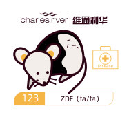 维通利华 ZDF大鼠 SPF级 II型糖尿病