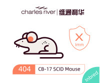 维通利华 CB-17 SCID小鼠 (Fox Chase SCID) SPF级 免疫缺陷