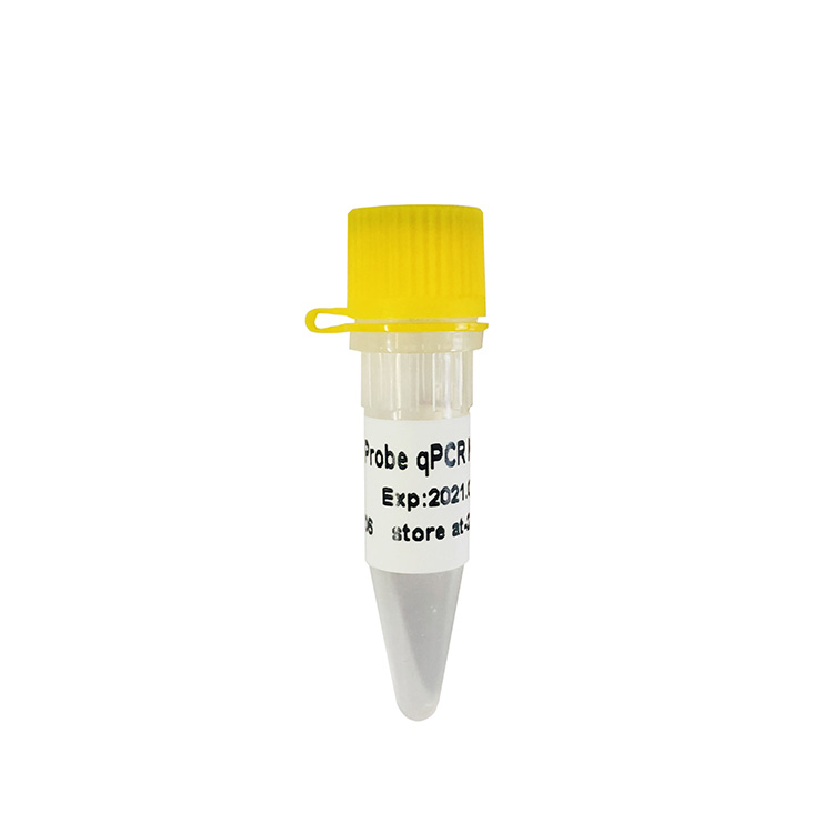 HS Probe qPCR Mix探针法荧光定量PCR P2201-P2205
