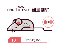 维通利华 CD(SD)® IGS大鼠 SPF级