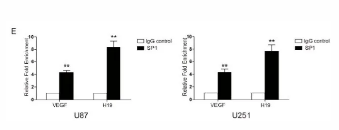 知无不“研”|一文读懂​染色质免疫共沉淀技术（ChIP）