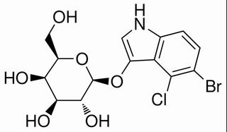 X-gal 5-溴-4-氯-3-吲哚-β-D-半乳糖苷