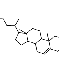 	474-62-4/菜油甾醇