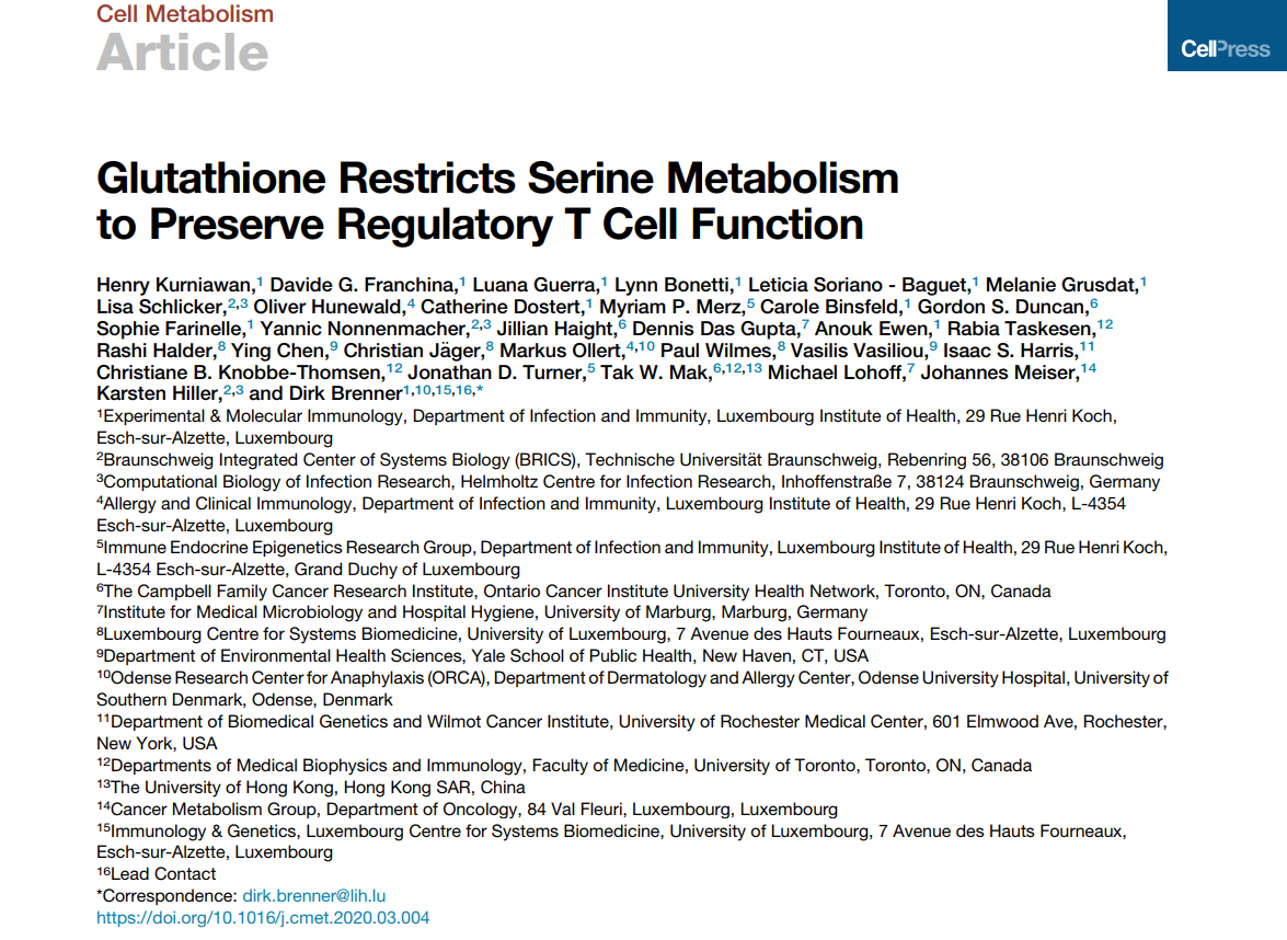 glutathione 作用 Figure 2 from Folate Metabolism and Human Reproduction Folatmetabolismus  und menschliche Fortpflanzung main image 0