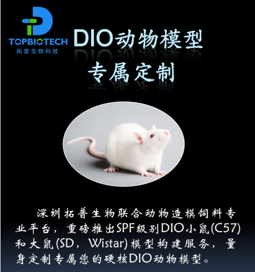 DIO（肥胖） 动物模型构建攻略