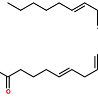 506-32-1/花生四烯酸