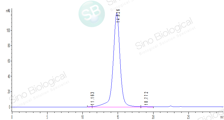 新冠病毒SARS-CoV-2 Spike S1重组蛋白
