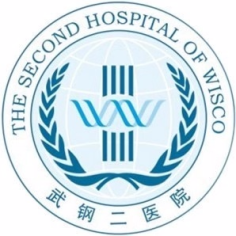 武汉钢铁（集团）公司第二职工医院