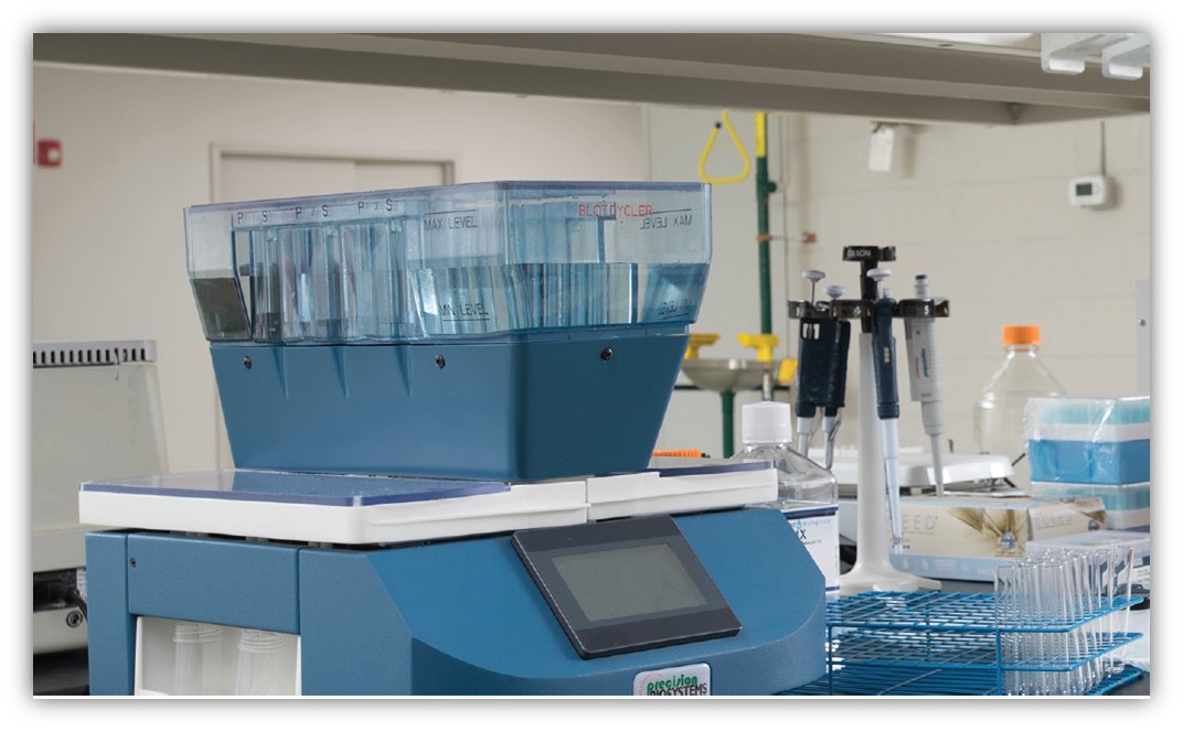 BlotCycler全自动蛋白质印迹杂交系统上市十周年