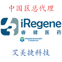 人源神经干细胞特供/人源神经干细胞特供/人源神经干细胞特供