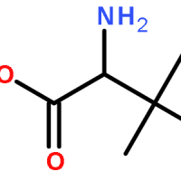 	26782-71-8/D-叔亮氨酸
