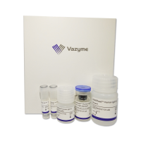 重组抗体细胞株高通量筛选利器（DD2101）