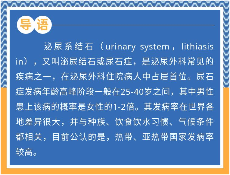 为什么得泌尿结石？大鼠结石模型揭露真相来了