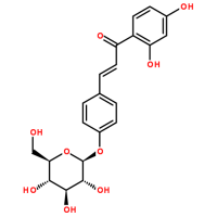 5041-81-6/异甘草甙