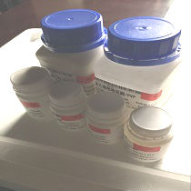 古朵科普: 体外培养细胞的生长类型