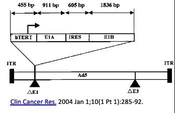 溶瘤病毒剖析|由恒瑞OBP301的合作终止开始……