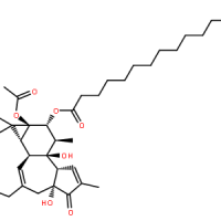 16561-29-8/佛波脂