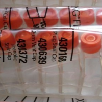 Corning 25cm透气盖斜口细胞培养瓶