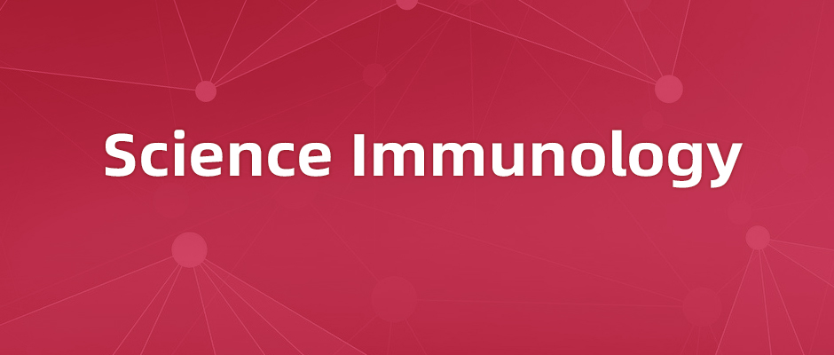 小胶质细胞是如何参与大脑抗病毒感染的？