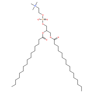 63-89-8/二棕榈酸磷脂酰胆碱