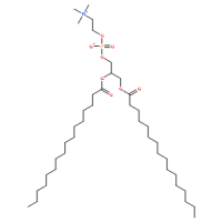 63-89-8/二棕榈酸磷脂酰胆碱