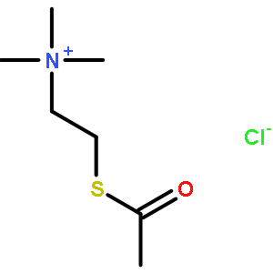 6050-81-3/氯化乙硫代胆碱