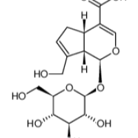 27741-01-1/京尼平苷酸