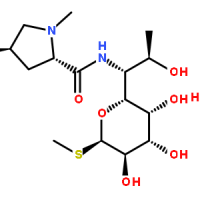7179-49-9/盐酸林可霉素一水合物