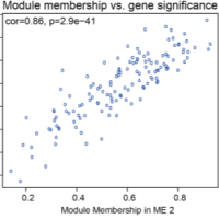 WGCNA功能模块分析