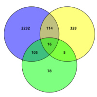 lncRNA-mRNA共表达