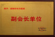 成都京东方医院被推选为四川省医院协会副会长单位