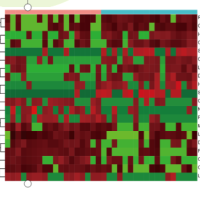 结肠癌免疫相关建模分析