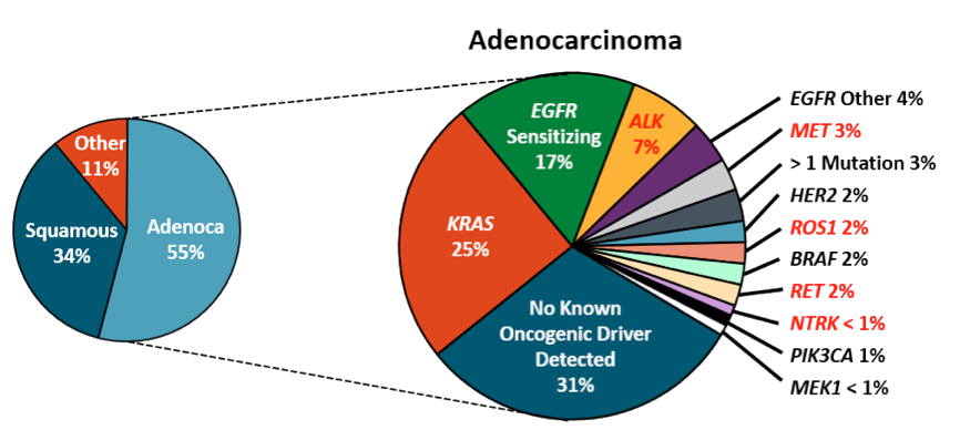 一文速览融合基因，菁良最新FFPE标准品助力临床基因检测标准化管理和质量控制