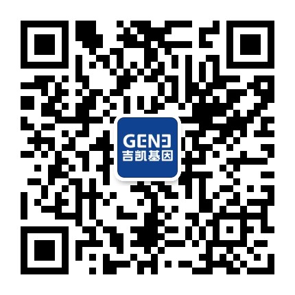 工具病毒怎么挑，Dr.L在线教会你！