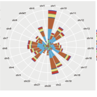 蛋白互作网络（PPI）