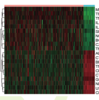 疾病相关免疫基因筛选