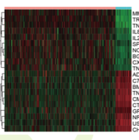 Cox多因素模型预测肿瘤预后