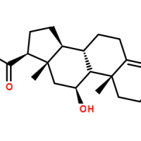 50-22-6/上腺酮