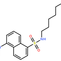 10121-91-2/丹酰尸胺