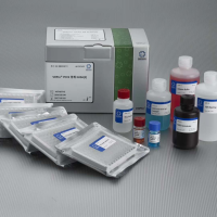 MEDIAN猪圆环病毒2型 (PCV2 )抗体ELISA检测试剂盒