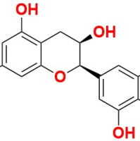 970-74-1/表没食子儿茶素