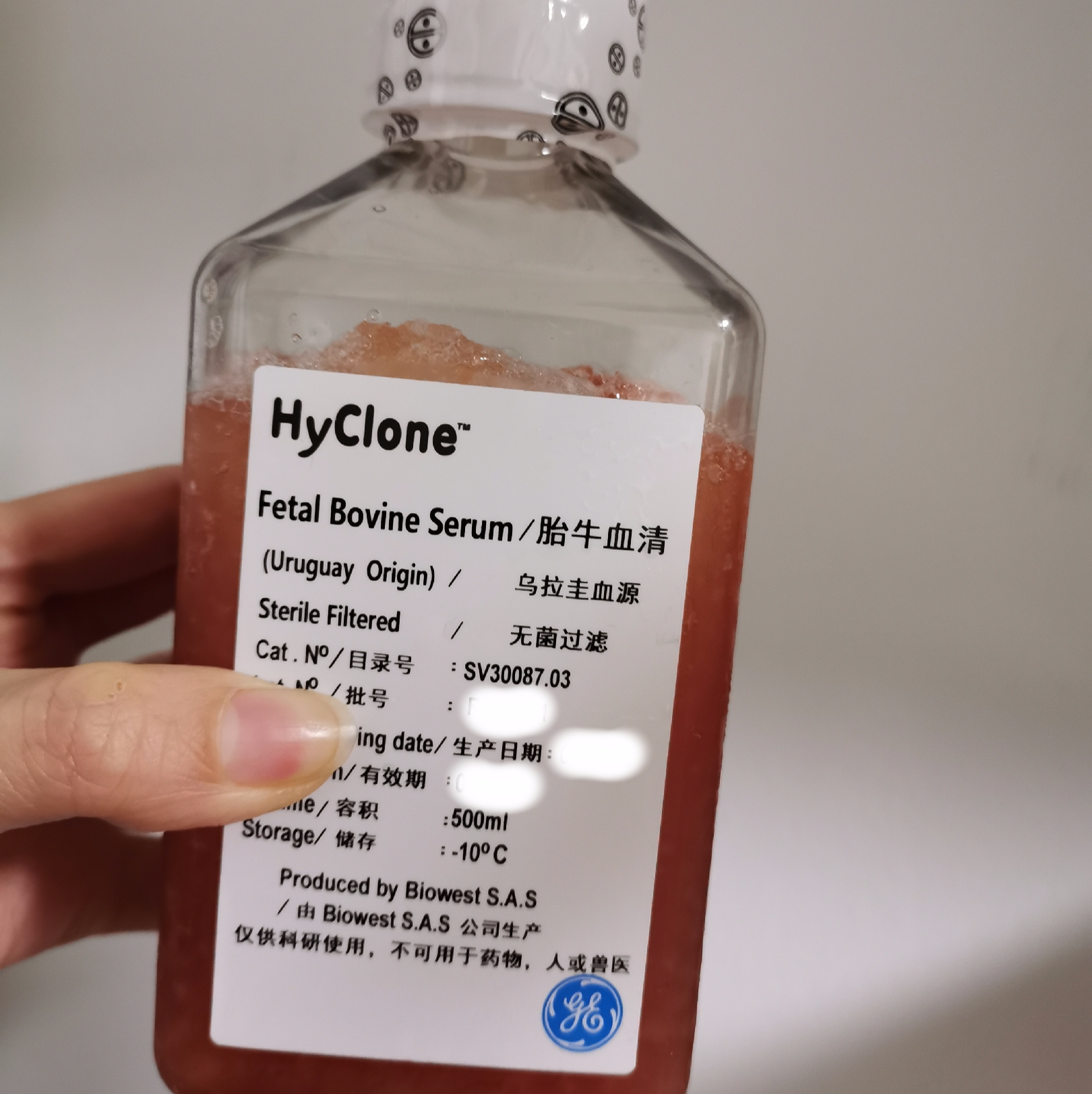 Hyclone SH30396.03胎牛血清，加拿大源FBS