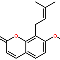 484-12-8/蛇床子素