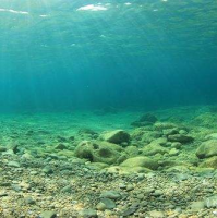 海底沉积物检测_沉积物多环芳烃检测