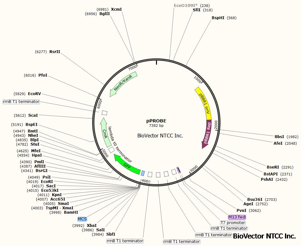 618福利来袭 试剂 血清 质粒 7折起