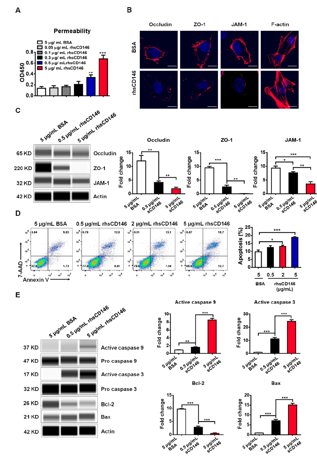 Wes助力：中科院阎锡蕴课题组协同北大医院神经内科郝洪军主任 共同揭示血脑屏障损伤机制