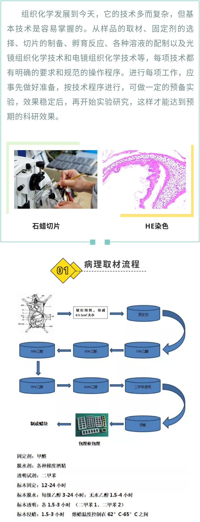 想要病理分析图漂亮，样品制备技术占c位！