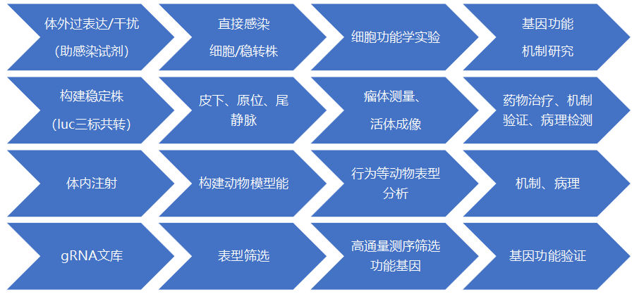 产品细节图片12