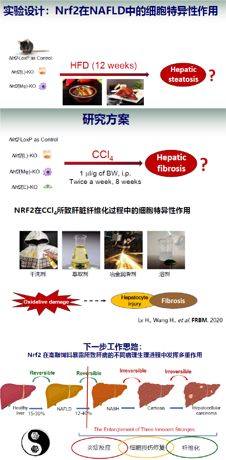 威斯腾生物联合中国抗癌协会肿瘤代谢专委会网络学术沙龙系列讲座第一讲