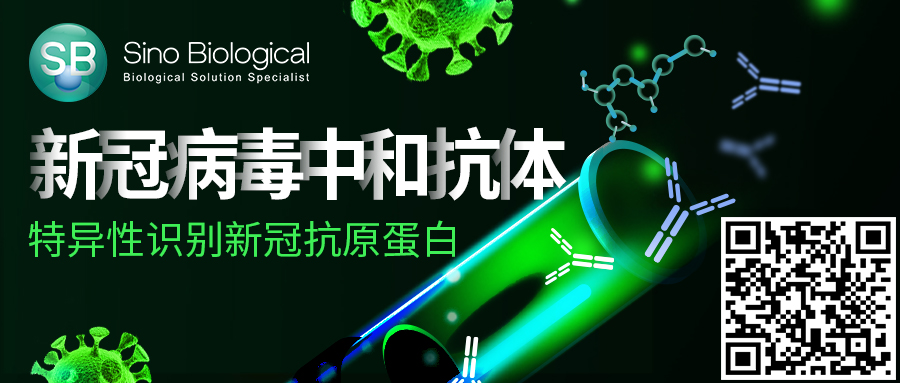 6月15日Science是发了一期新冠中和抗体专刊吗？整整5篇文章